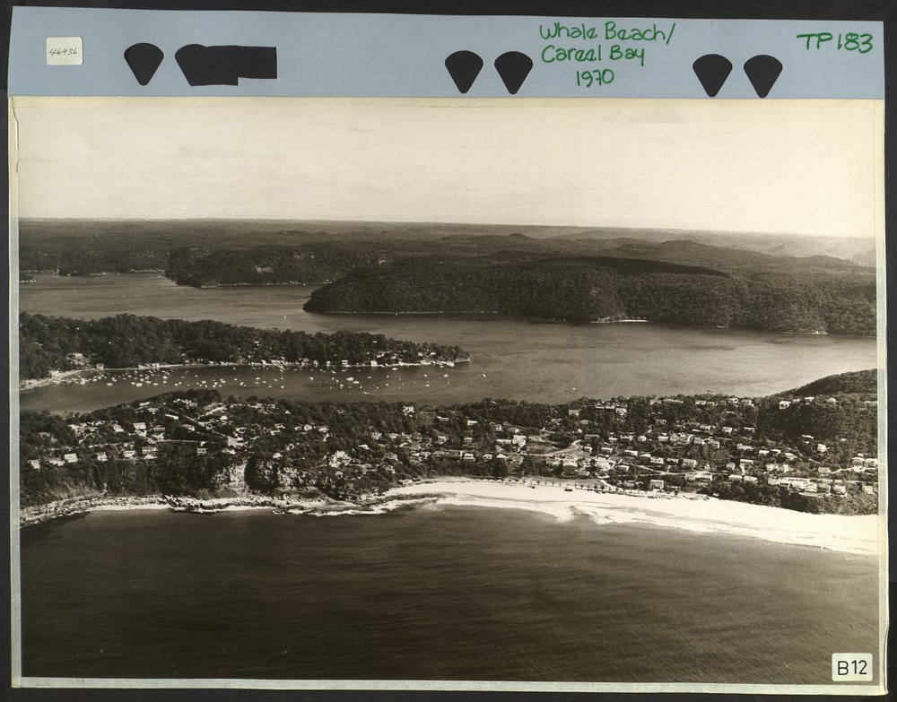 Aerial view of Whale Beach and Careel Bay