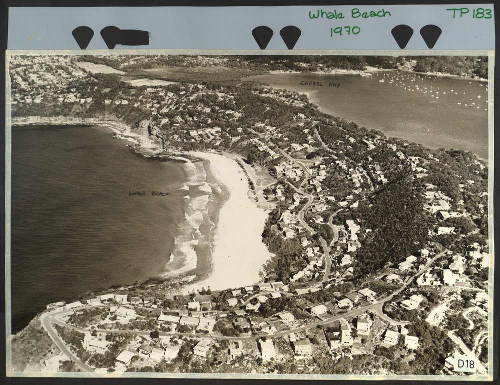 Aerial View of Whale Beach and Careel Bay.