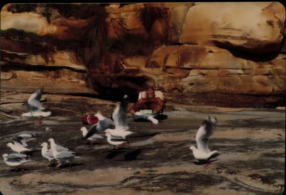Seagulls and Sunbather at the beach