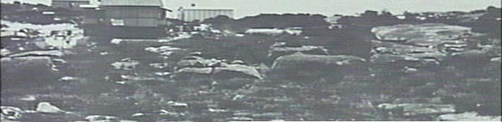 Panorama of Dee Why