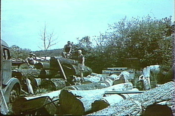 Sawmill grounds, Mona Vale