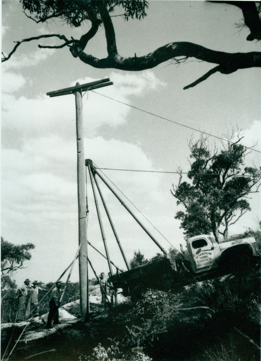 Elanora Heights First Power Lines