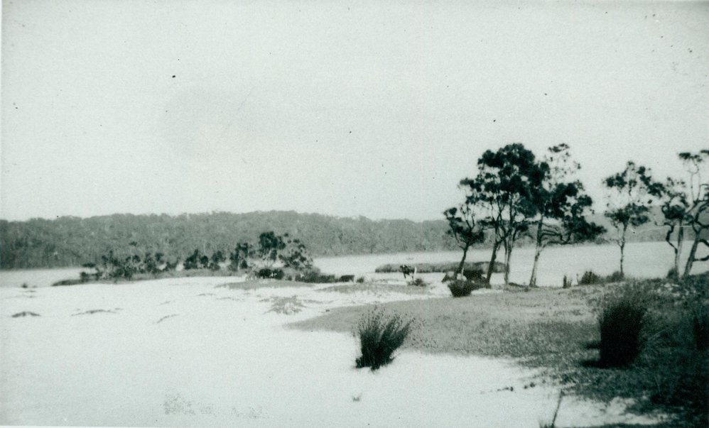 Narrabeen Lagoon near Wimbledon Avenue