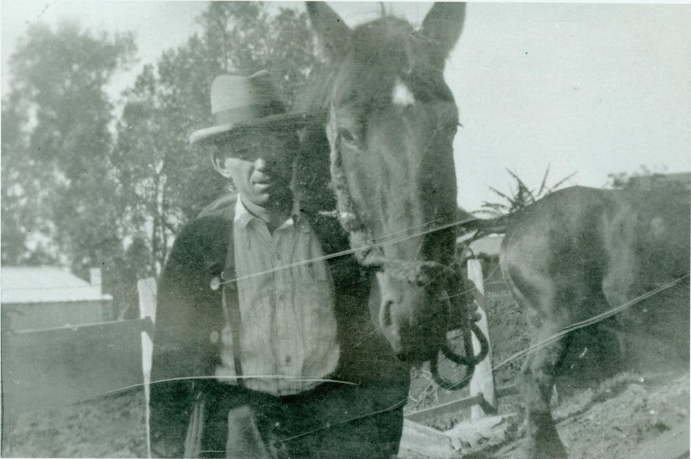 Arthur Larkin with horse, Captain at Collaroy