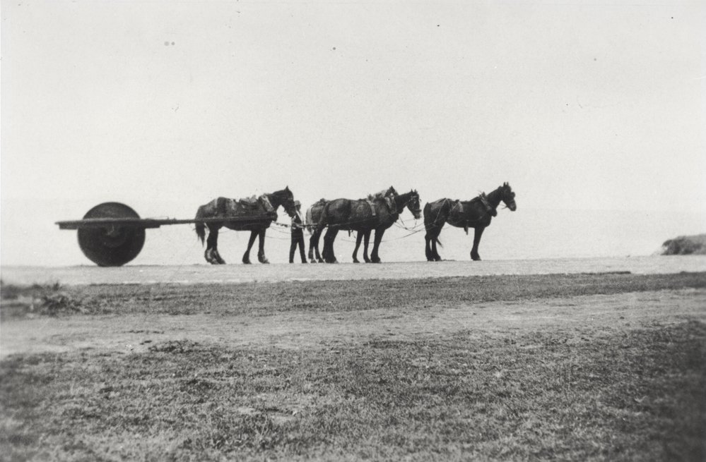 Arthur Larken and his team of horses constructing Narrabeen Park Parade