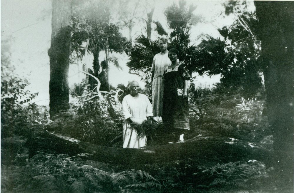 Selina Ware, Olive Johnson and friend collecting wildflowers, Narrabeen Lagoon