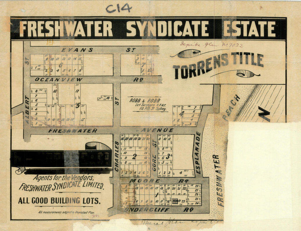 Freshwater Syndicate Estate, Harbord, 1912: Subdivision Plan