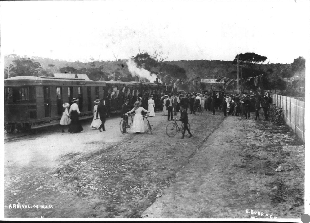 Welcoming the First tram to Brookvale