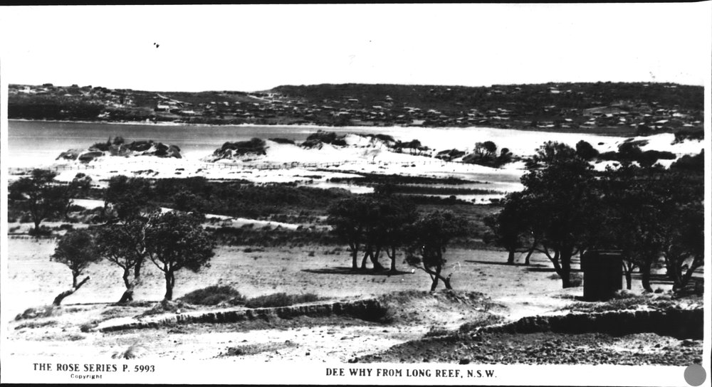 Dee Why from Long Reef