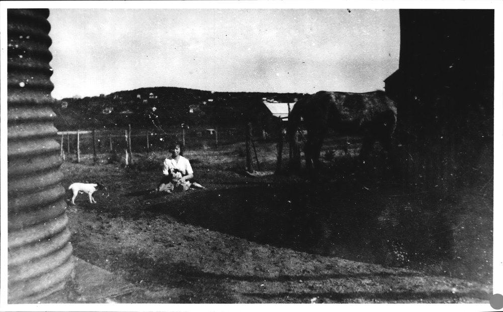 Lizzie's Farm at North Curl Curl