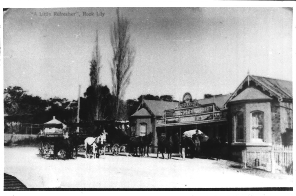 Rock Lily Hotel Pittwater Road,  Mona Vale