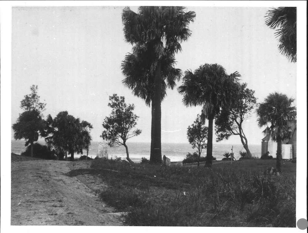 Bilgola Beach, Bilgola Beach