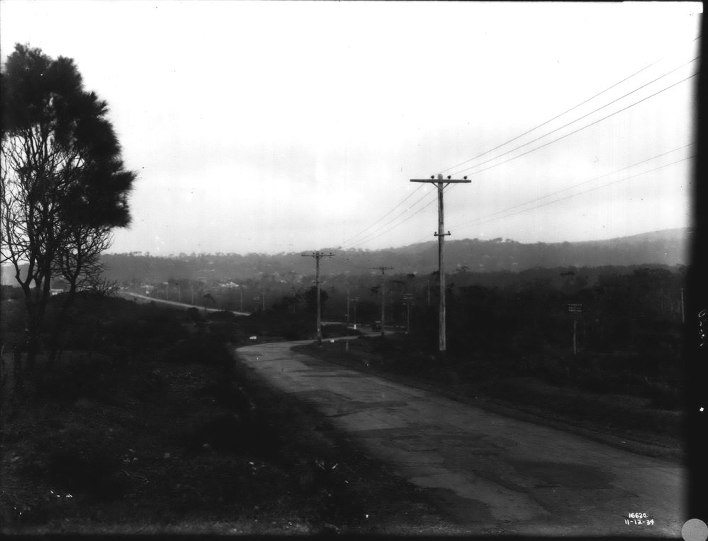 Sheep Station Hill, Warriewood