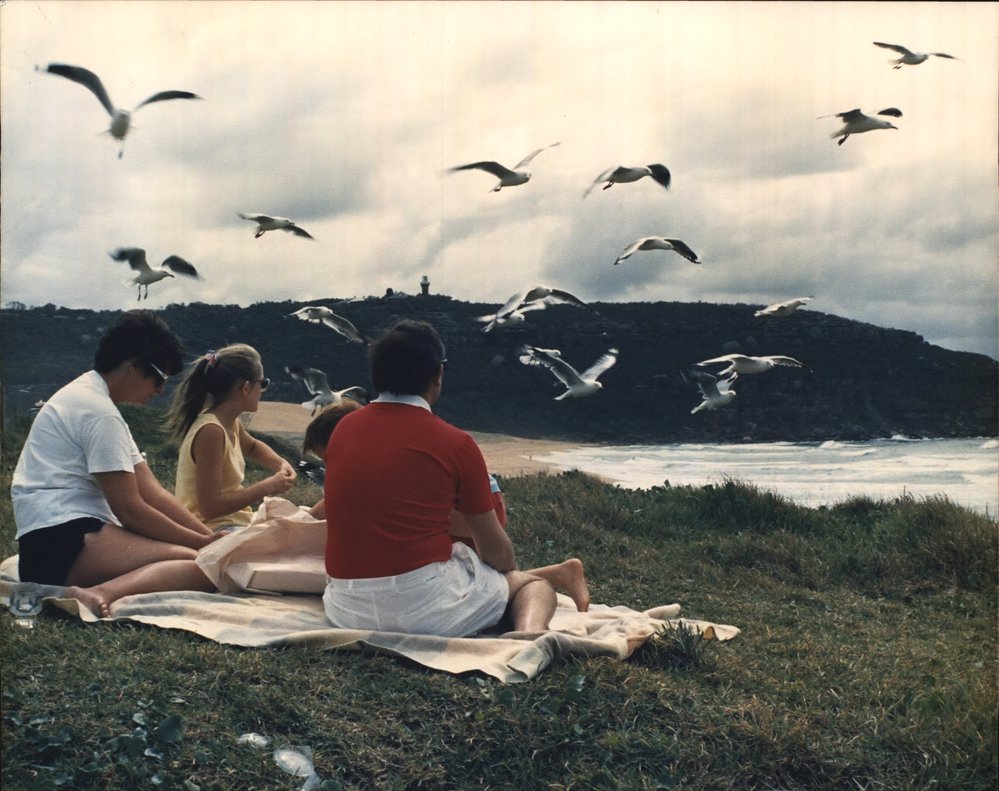 Picnic at North Palm Beach
