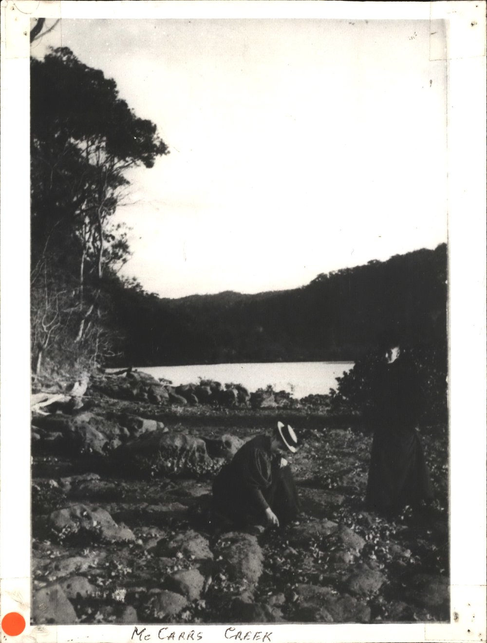 Gathering oysters at McCarrs Creek