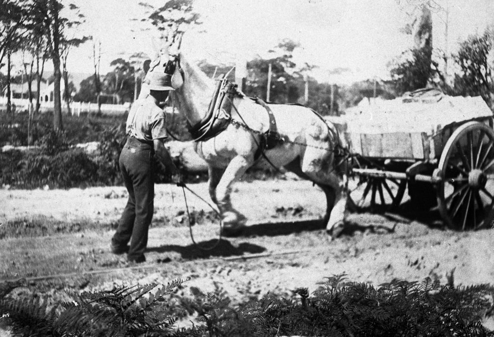 Laying tramlines at Brookvale with horse and cart