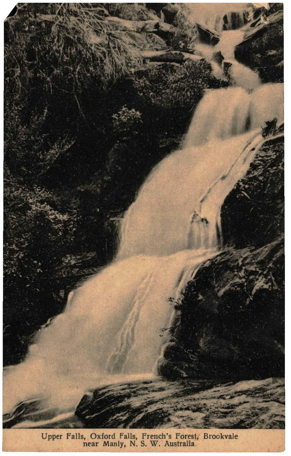 Upper Falls of Oxford Falls