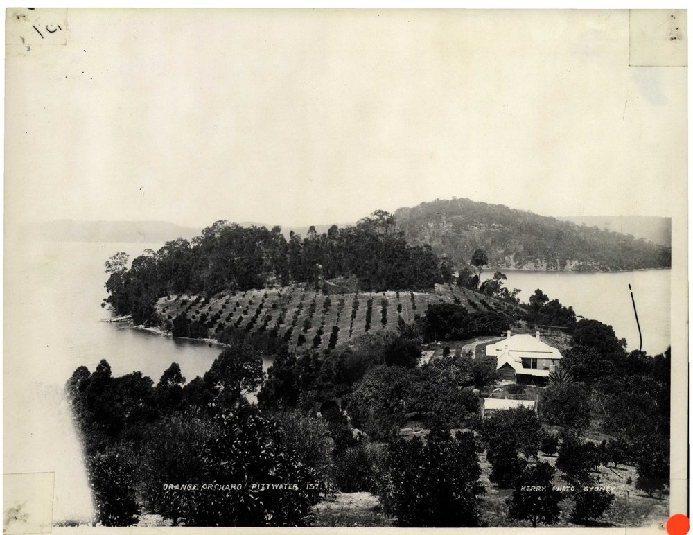 Oliver Family Home, Rocky Point Lovett Bay, Orange Orchard