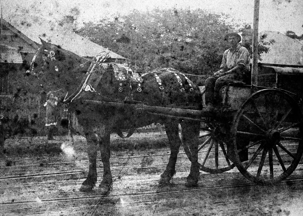 Len Riddle on Thew's horse and dray in Brookvale