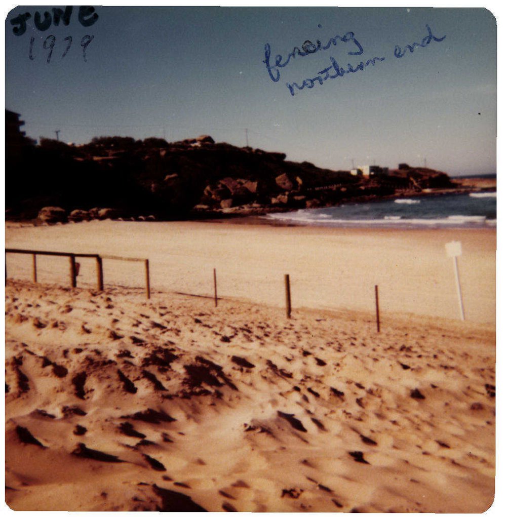 Beach Improvement Program at Freshwater Beach and Foreshore Park