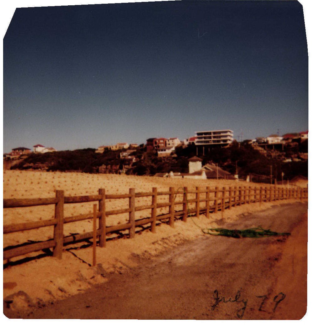 Beach Improvement Program at Freshwater Beach and Foreshore Park