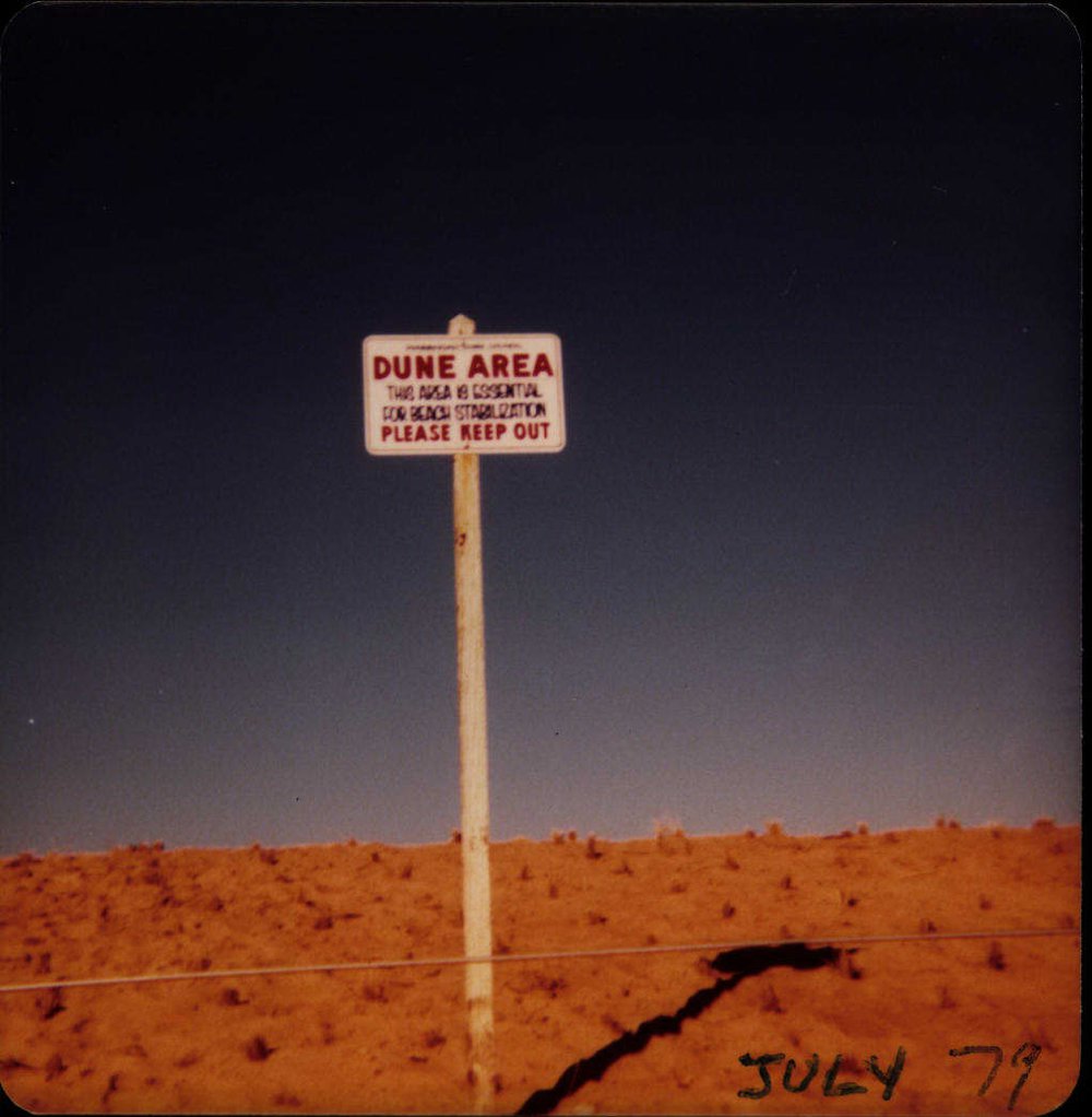 Beach Improvement Program at Freshwater Beach and Foreshore Park