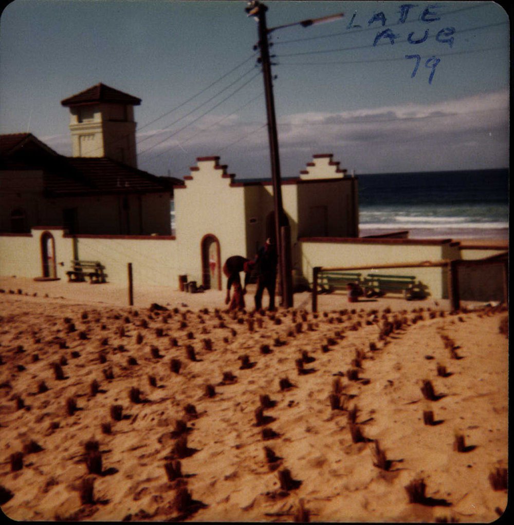 Beach Improvement Program at Freshwater Beach and Foreshore Park