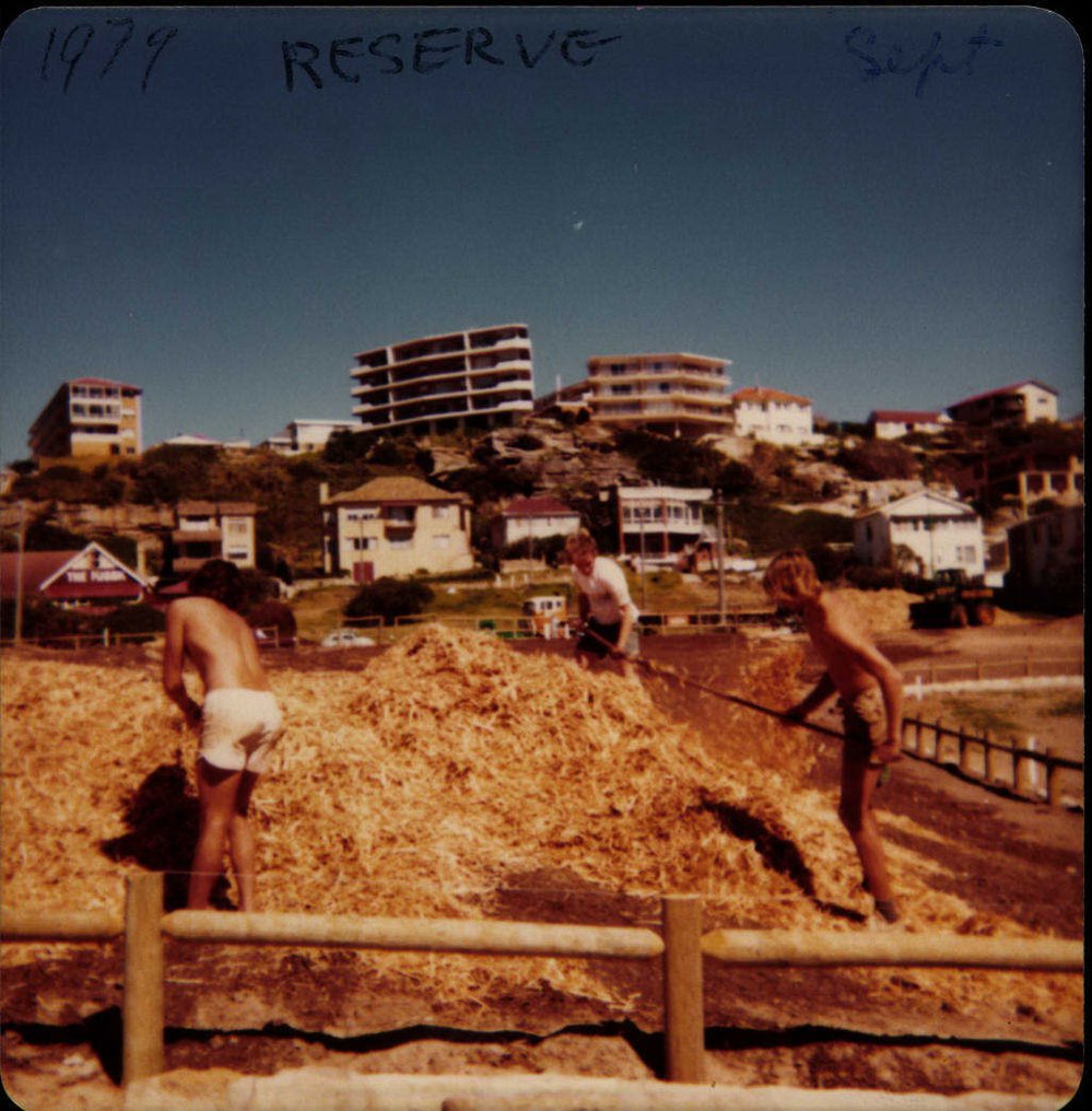 Beach improvement program at Freshwater Beach and foreshore park