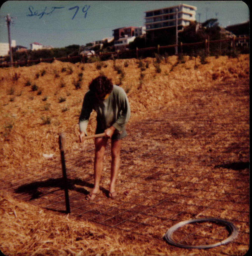 Beach improvement program at Freshwater Beach and foreshore park