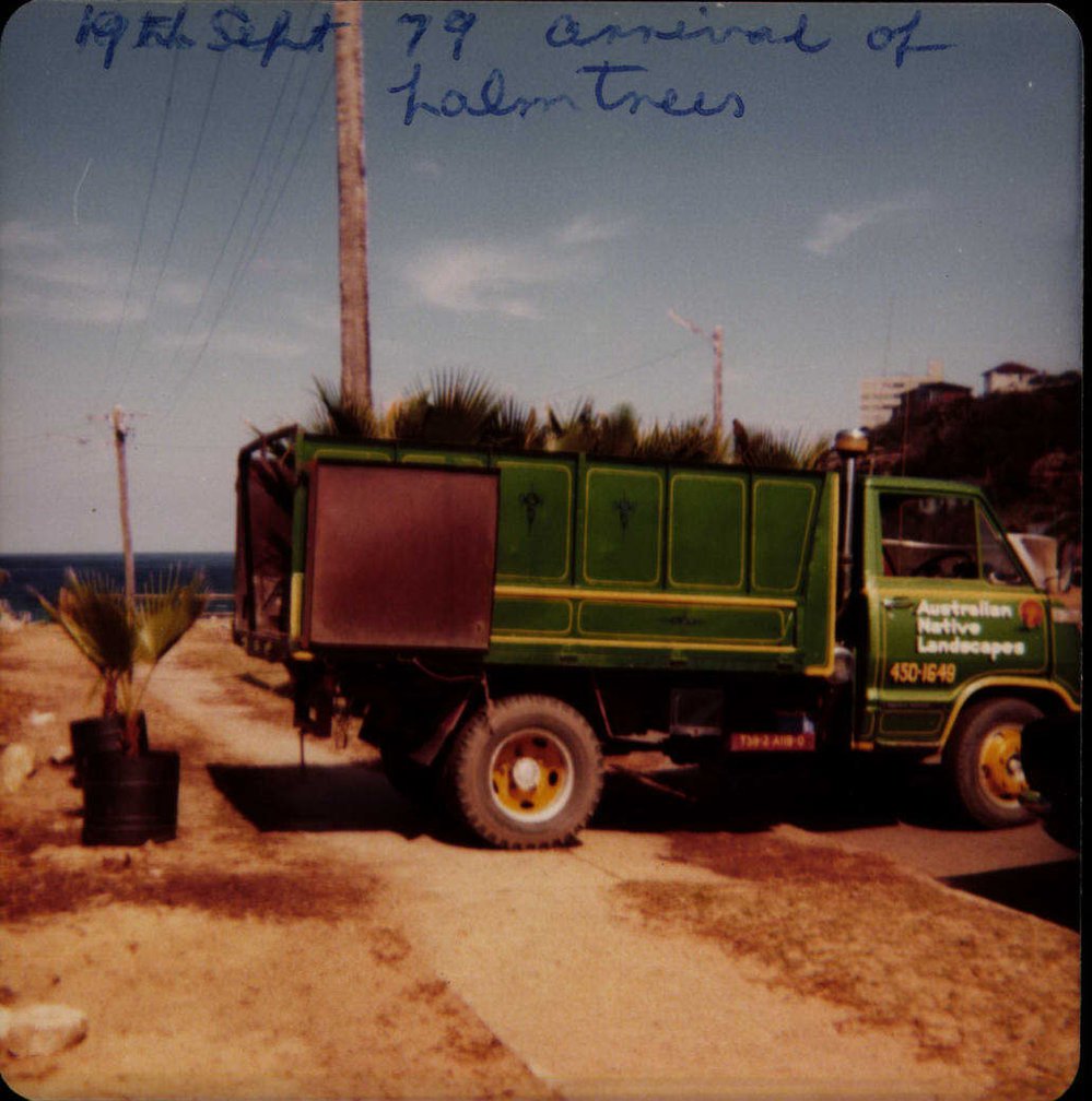 Beach improvement program at Freshwater Beach and foreshore park