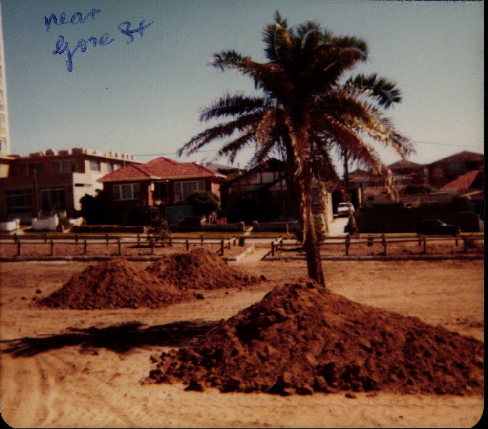 Beach improvement program at Freshwater Beach and foreshore park