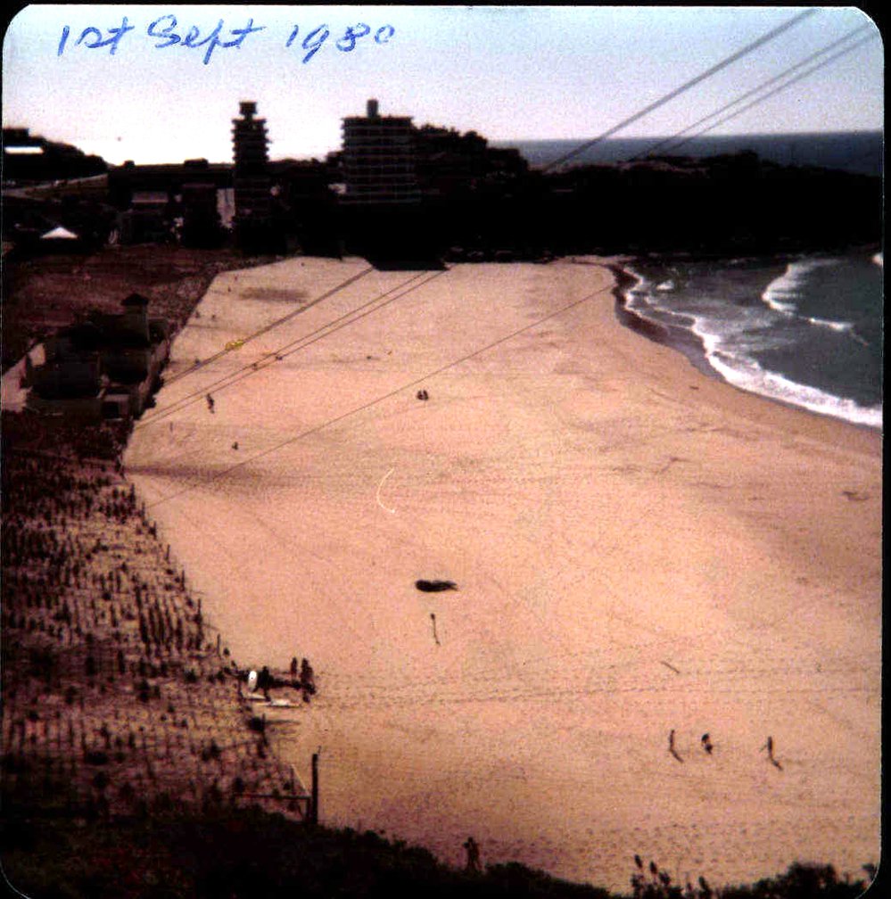 Beach improvement program at Freshwater Beach and foreshore park