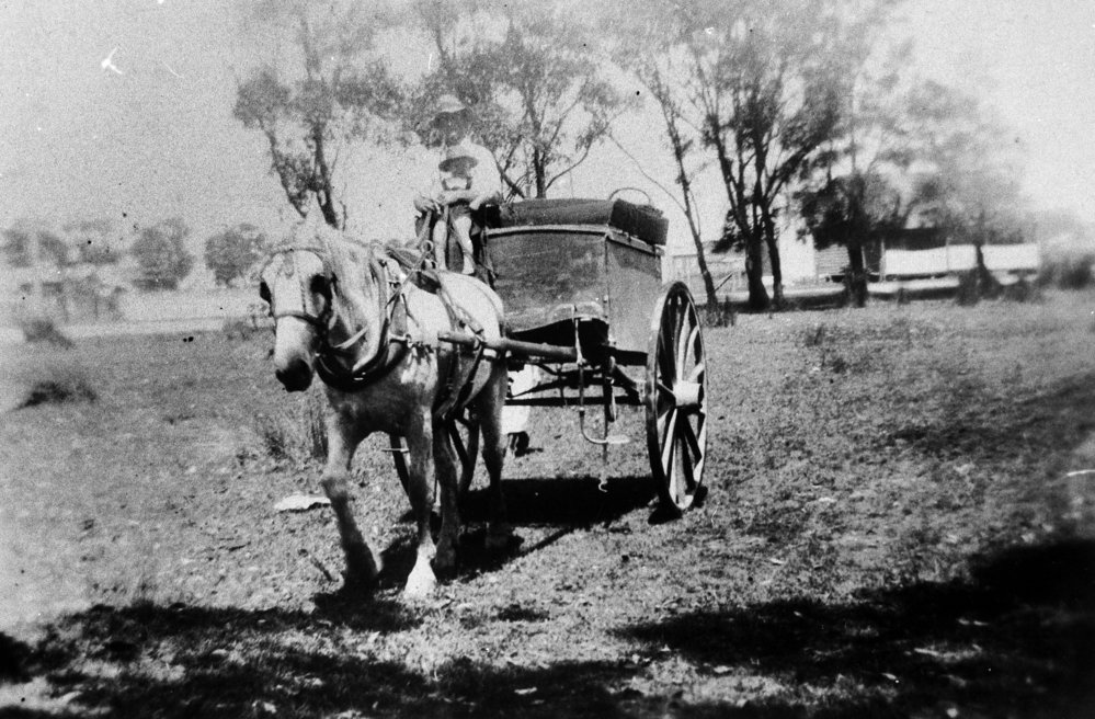 Ernie and Sam Gray delivering bread, Collaroy, c 1924