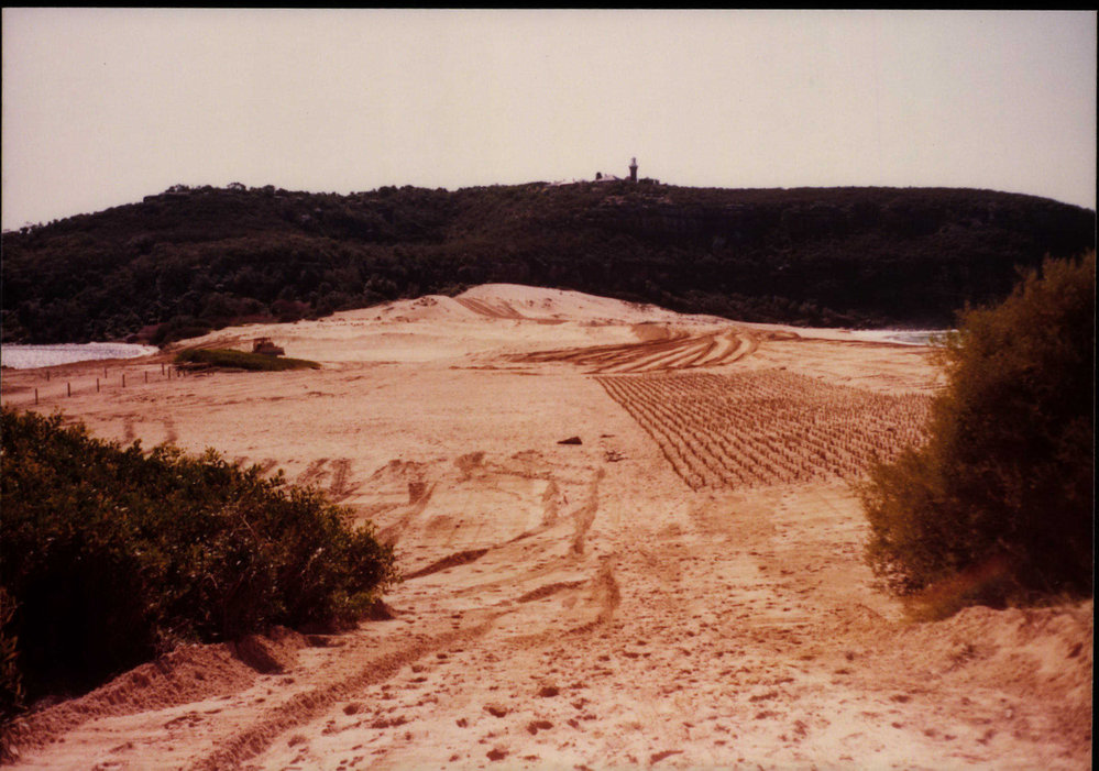 Palm Beach sand dunes, coastal management