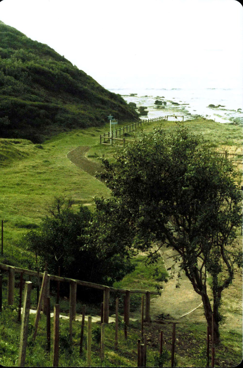 Bassett Street, Mona Vale