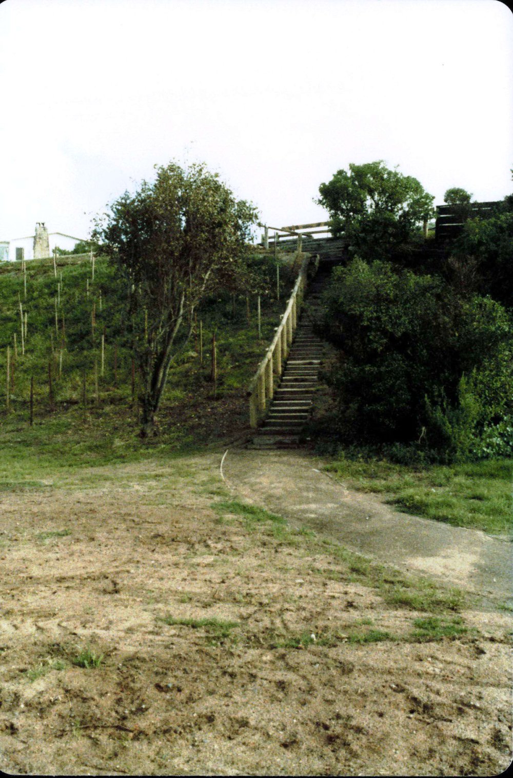 Bassett Street, Mona Vale