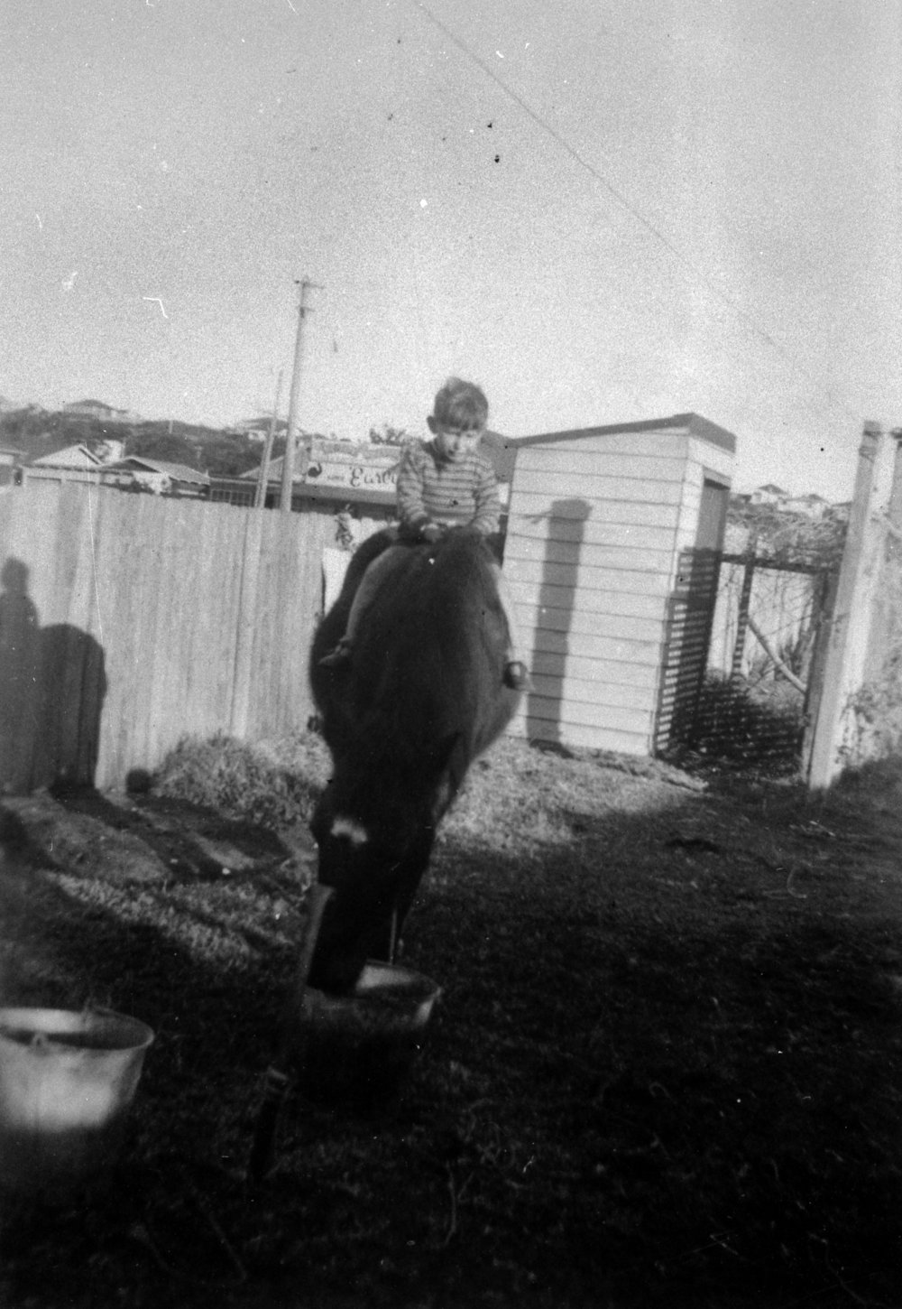 John Holburn on Bonny at 16 Boronia Street, Dee Why