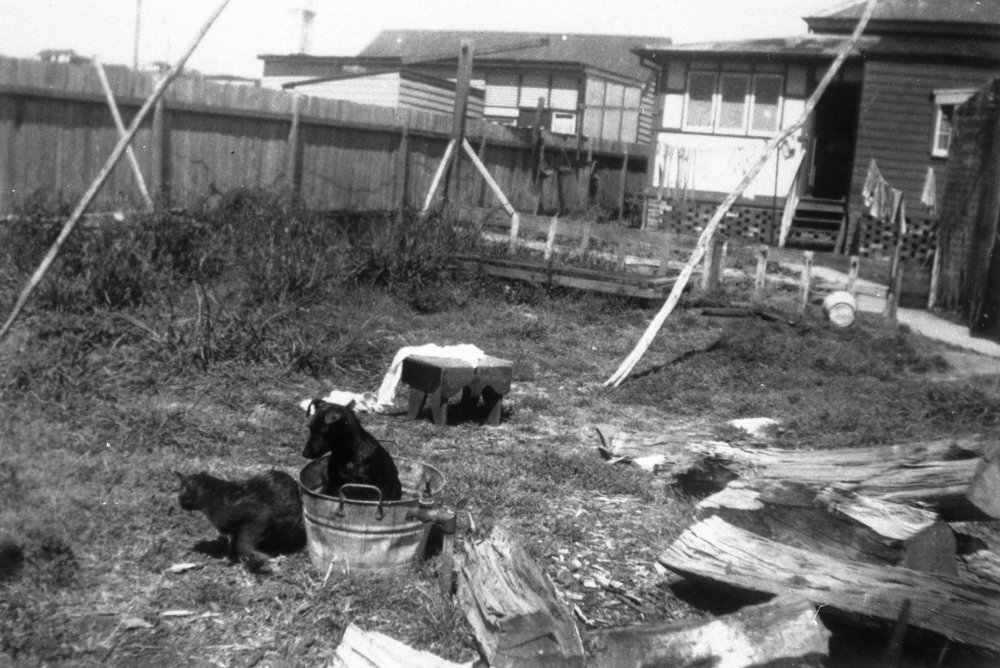 Holburn family home, 16 Boronia Street, Dee Why