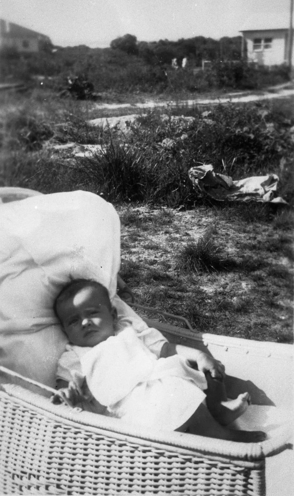 Chris Gee at 16 Jamieson Avenue, North Curl Curl