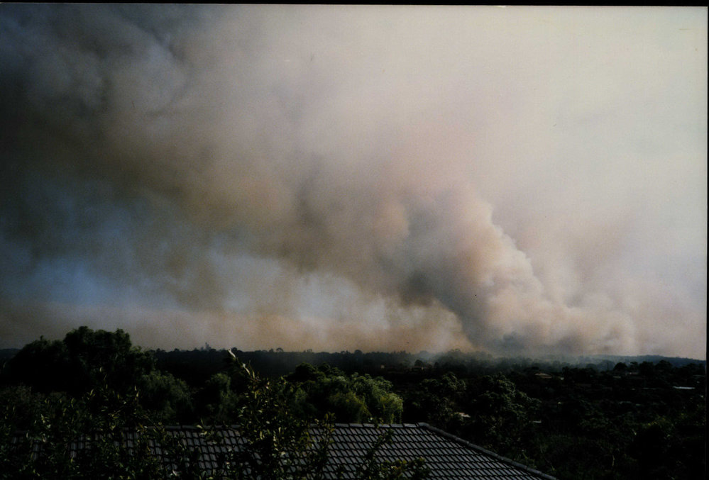 Bushfire at Killarney Heights