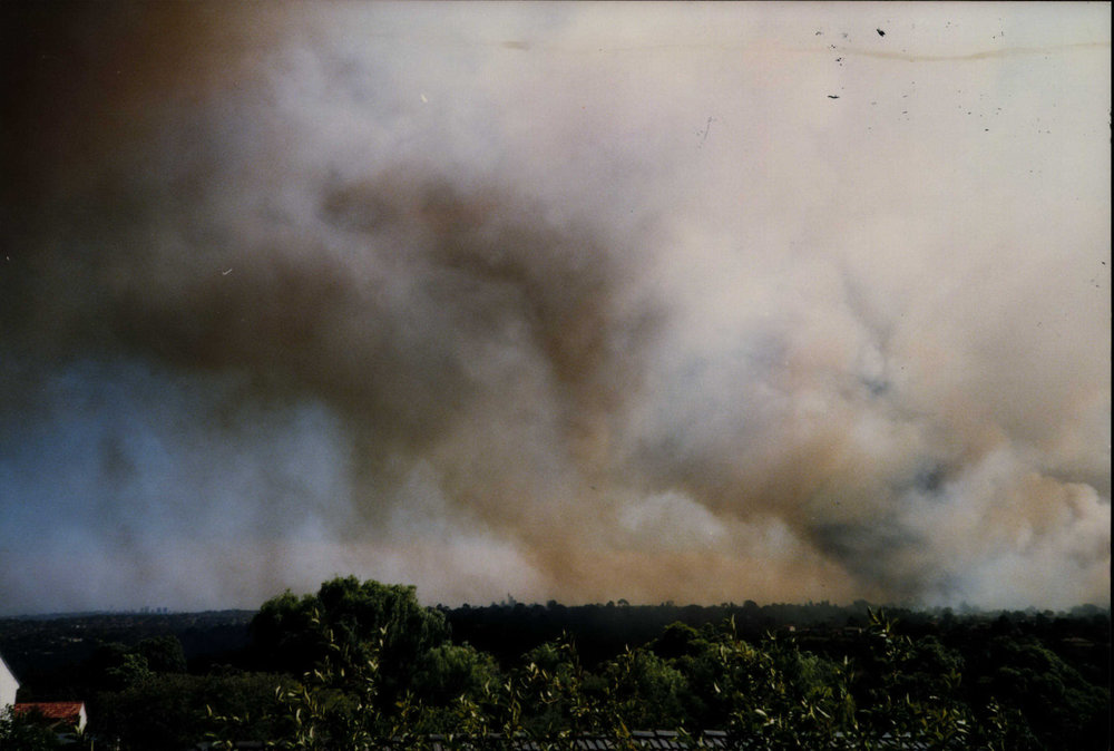 Bushfire at Killarney Heights