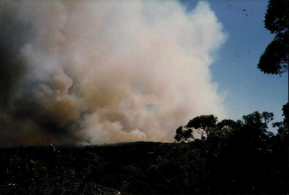 Bushfire at Killarney Heights