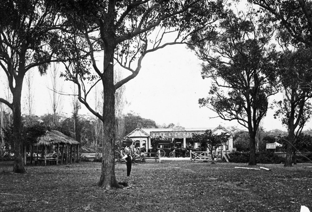 Rock Lily Hotel, Mona Vale