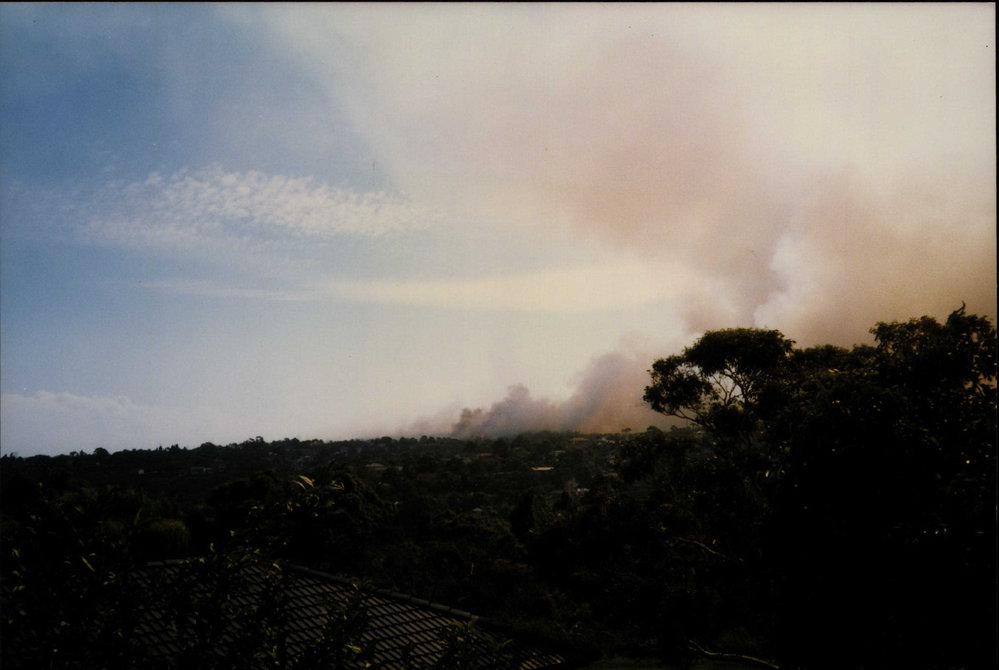 Bushfires at Killarney Heights