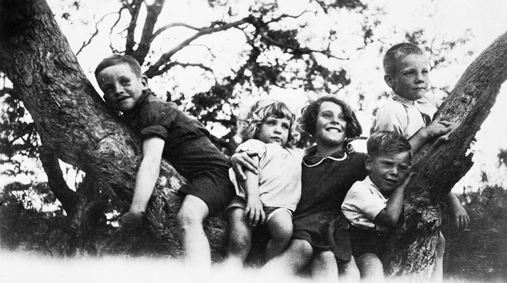 Hayman children climbing tree, Paradise Beach, Avalon