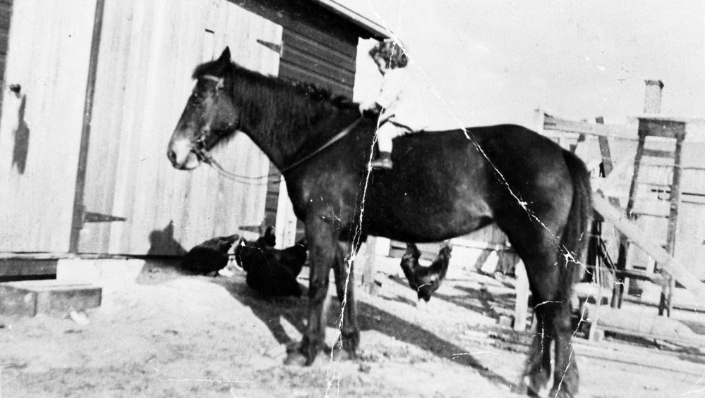 Gwen Guy on Horse named Topsy Behind Guy and Bailey's Store, Dee Why