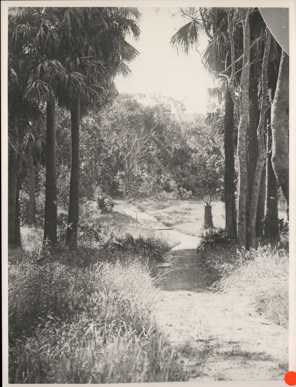 Bilgola