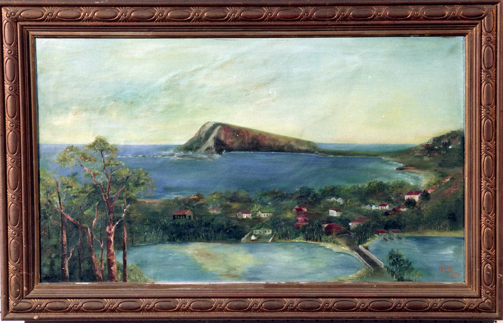 View of Narrabeen and Long Reef from Alleyne Avenue, Warringah Art Prize