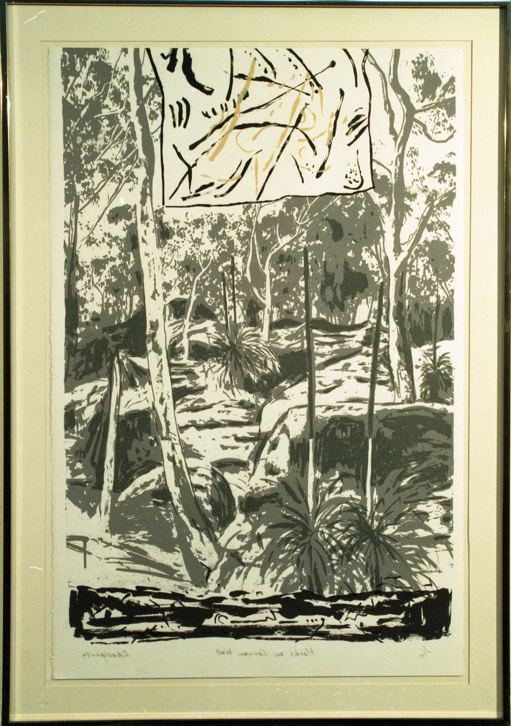 Marks on a canyon wall, Warringah Art Prize 1989