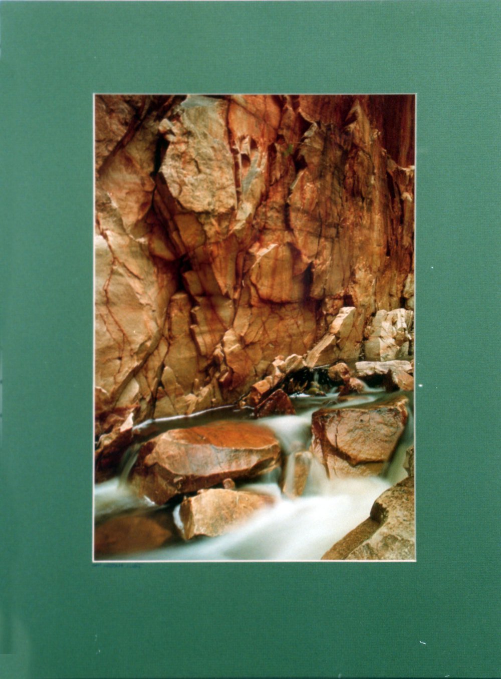 Wild places, more than you expect, Warringah Art Prize, 1990